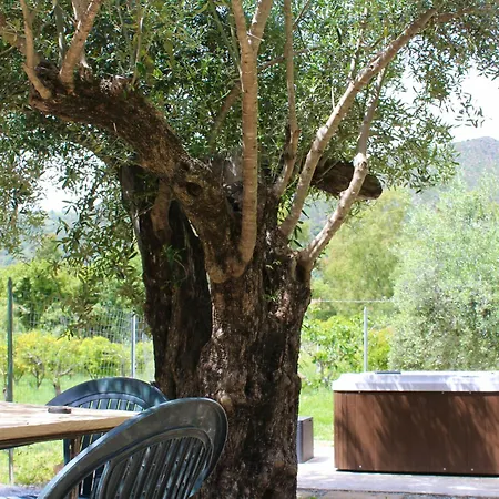 Holiday home Pelau - *